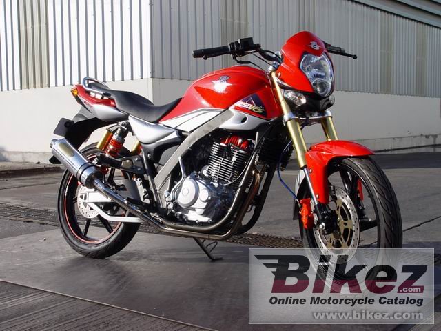 Big Tiger boxer 250 rs picture and wallpaper from Bikez.com